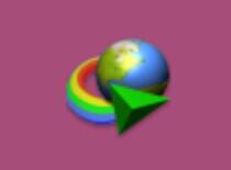 【windows】IDM（Internet Download Manager） v6.38.11.2 Final绿色破解版