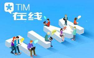 电脑版TIM2.1.8防撤回DLL补丁