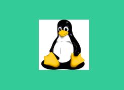 Linux实战技能100讲网盘资源！