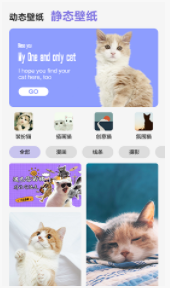 【安卓】可爱喵喵壁纸大全 v1.0 安卓最新版