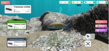 【安卓】闲置3D深海水族馆 v1.9.2 安卓最新版