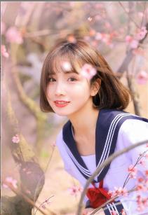 【安卓】鲜花影视精品免费在线直播APP v1.1 安卓最新版